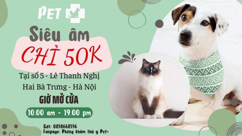 Phòng khám thú y Pet +