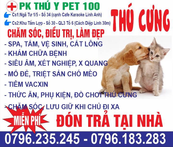 Phòng khám Thú Y PET 100