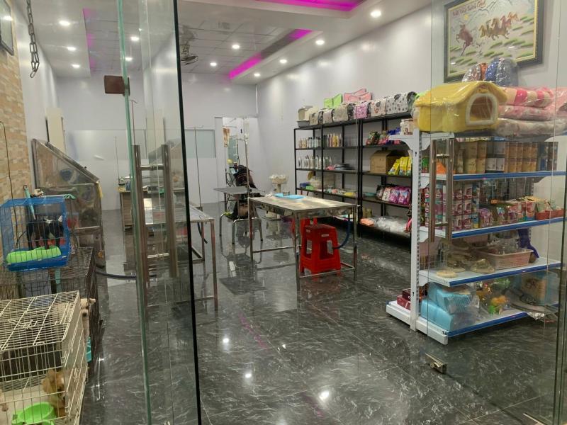 Phòng Khám Thú Y Pet Care Bến Tre