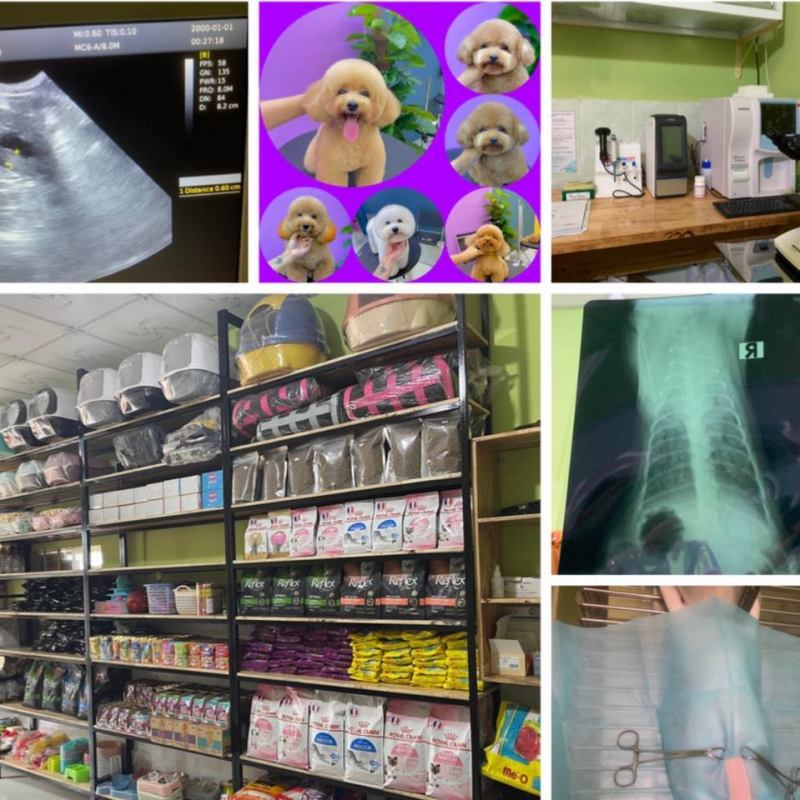 Phòng Khám Thú Y Pet Farm