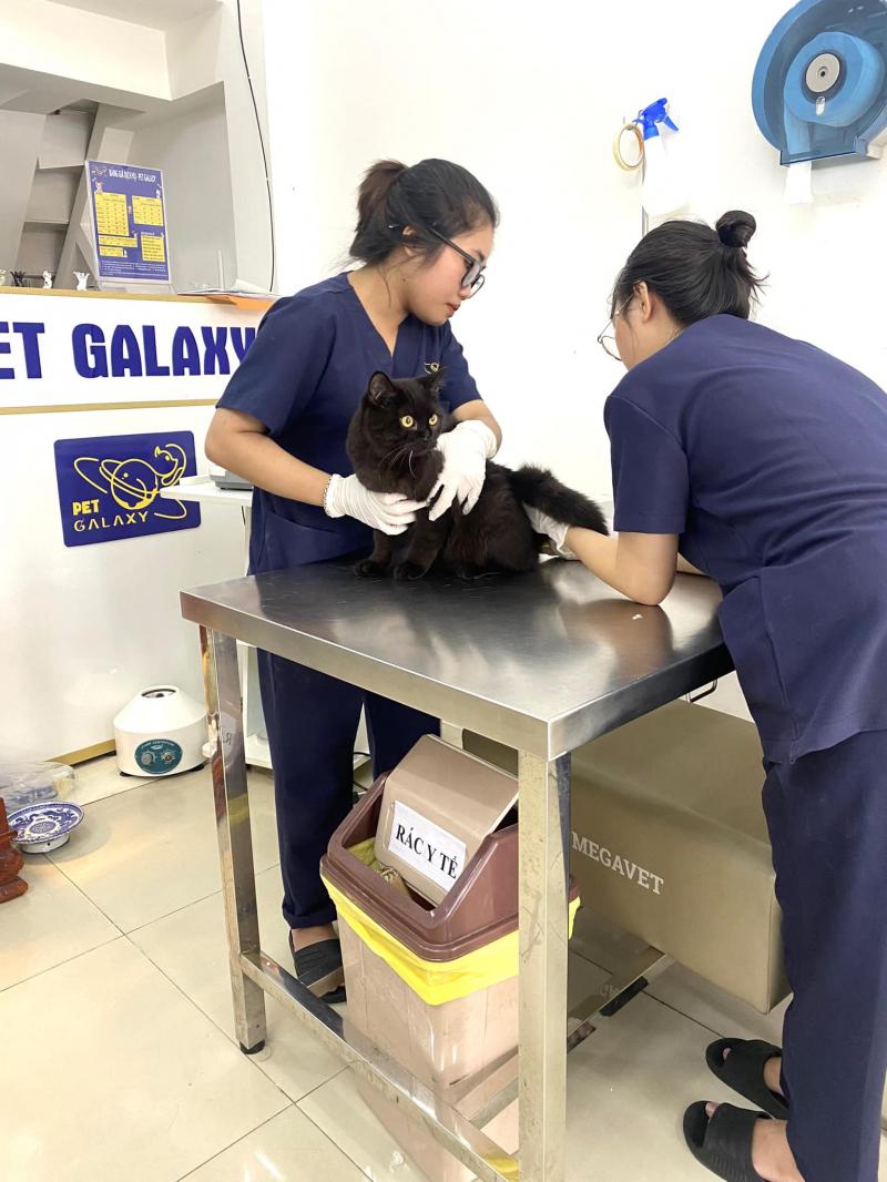 Phòng khám thú y Pet Galaxy