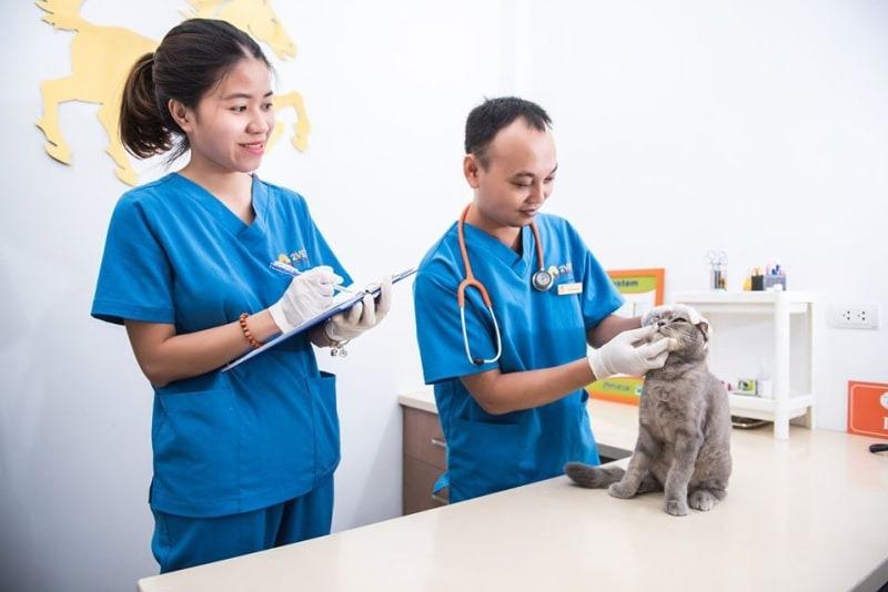 Phòng Khám Thú Y Pet’ Hop