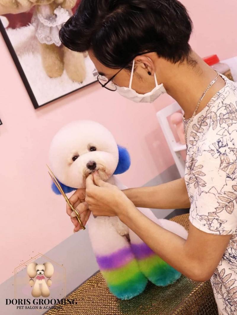 Phòng Khám Thú Y Pet World