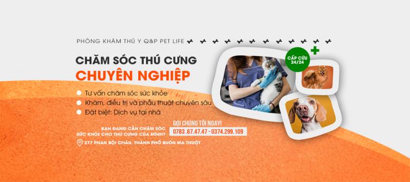 Phòng khám Thú Y Q&P PetLife