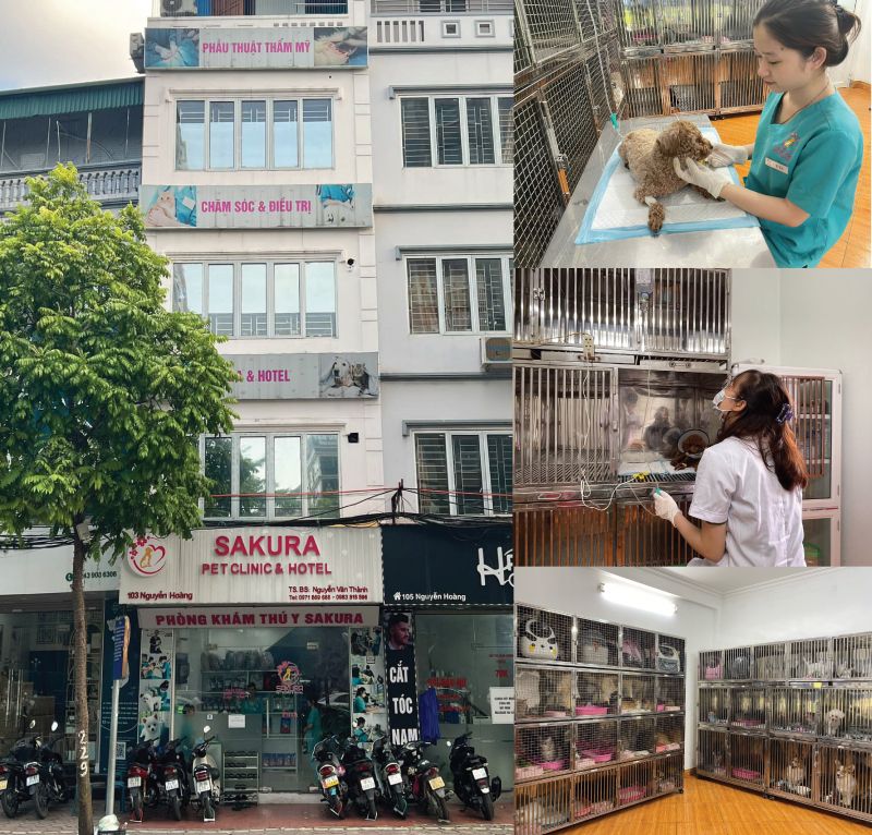 Phòng Khám Thú y SAKURA