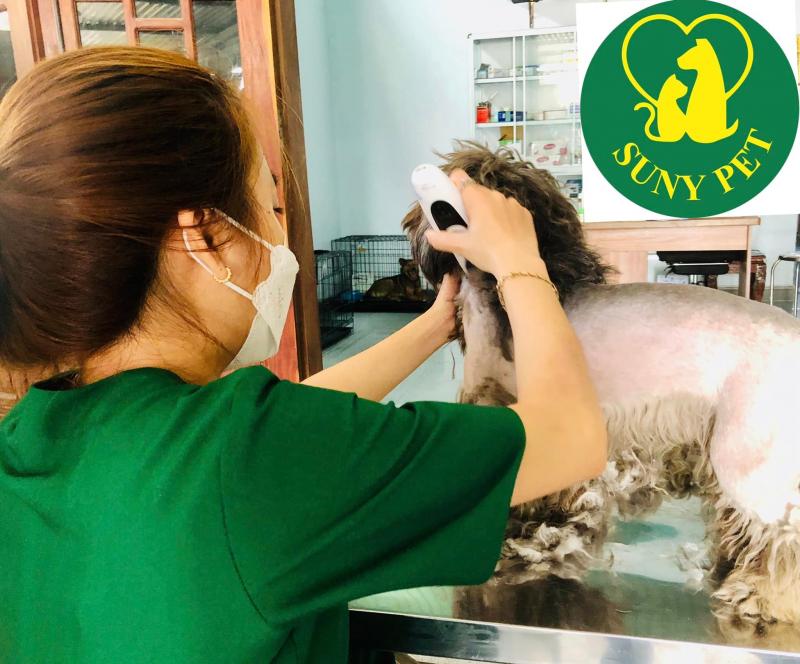 Phòng Khám Thú Y SUNY PET