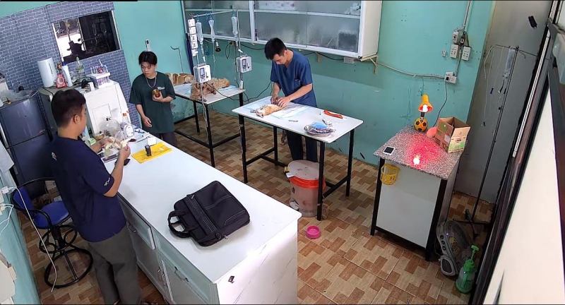 Phòng khám Thú Y TaiNin