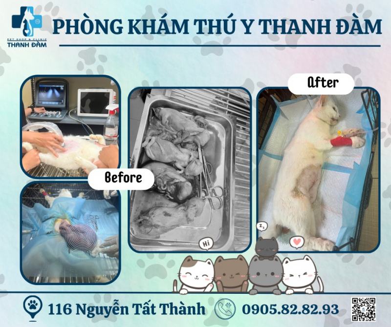 Phòng khám thú y Thanh Đàm