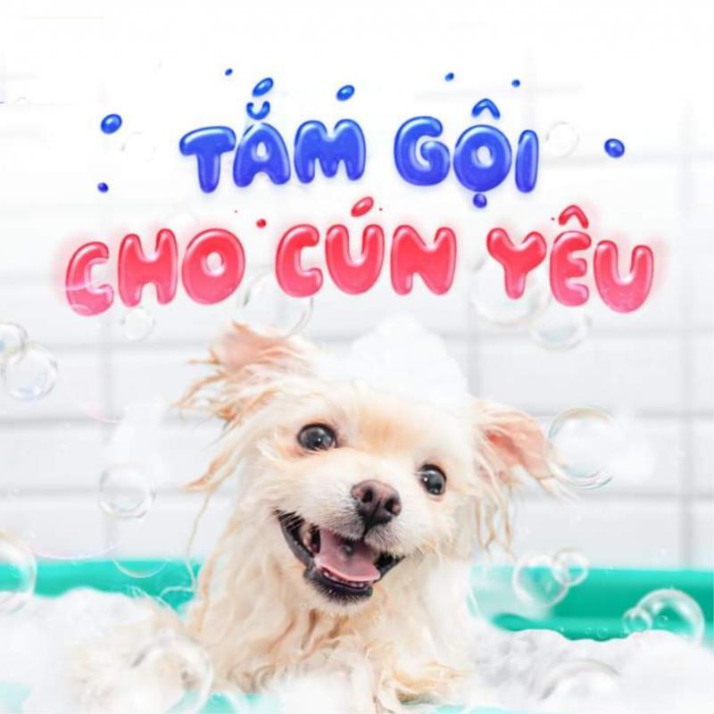 Phòng Khám Thú Y Thành Trung