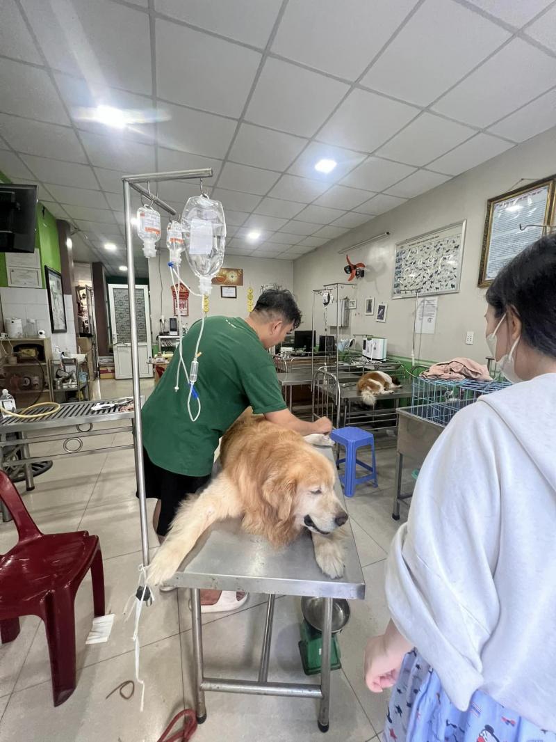 Phòng khám thú y Trường Sơn