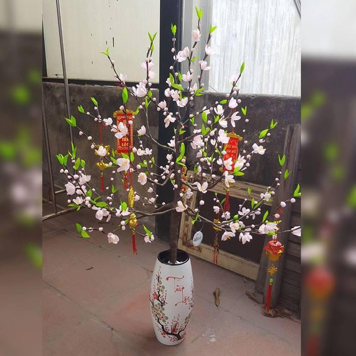 Phun tưới gốc để đào nở hoa, ra lộc