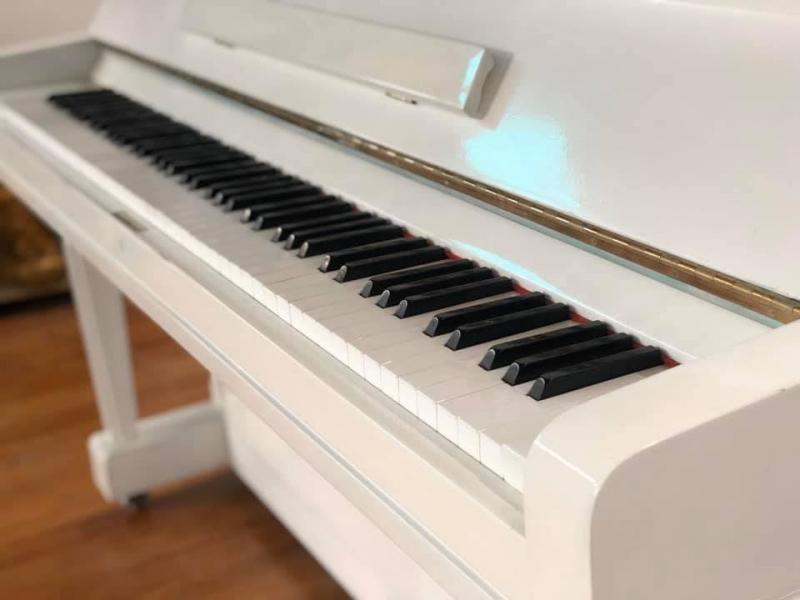 Piano24h.vn