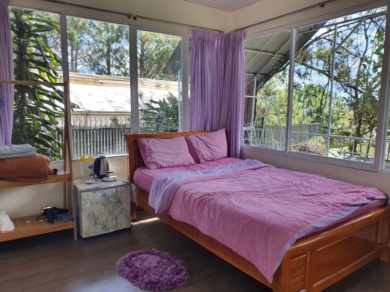 Pine Hill Homestay Nhà Trên Cây Đà Lạt
