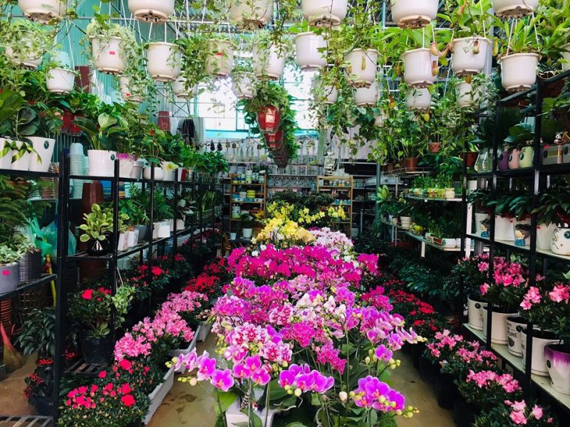 Pleiku Garden