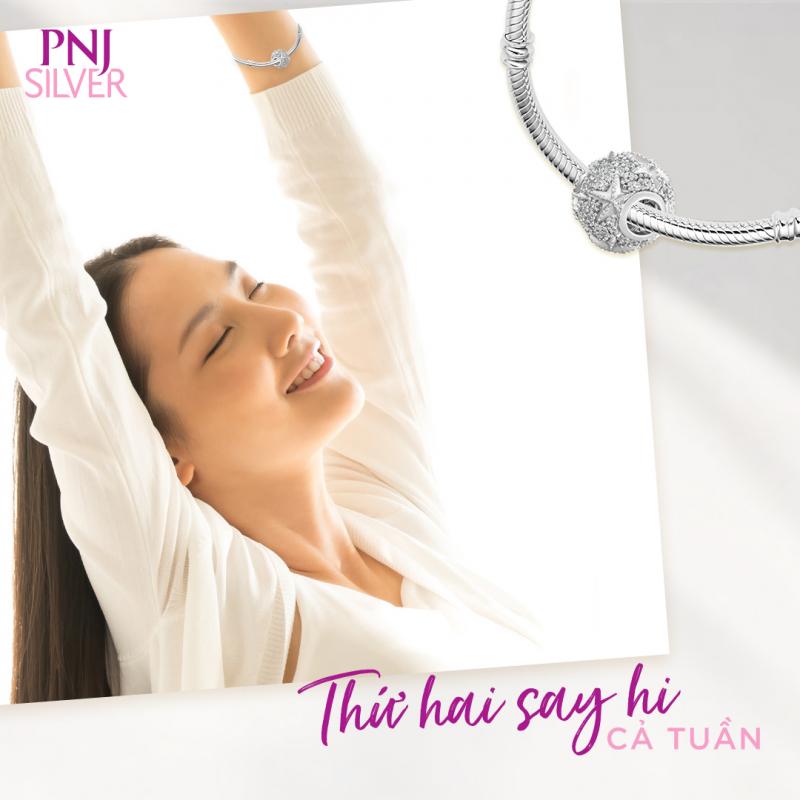 PNJ Sliver