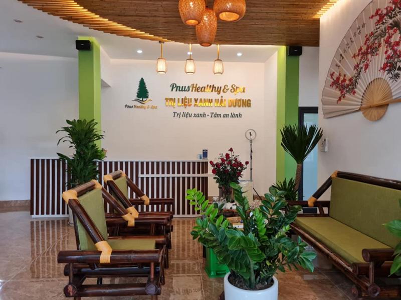 Pnus – Trị liệu xanh Hải Dương