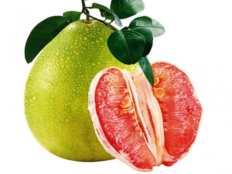 Quả bưởi - Thực phẩm tốt cho người bị bệnh gan