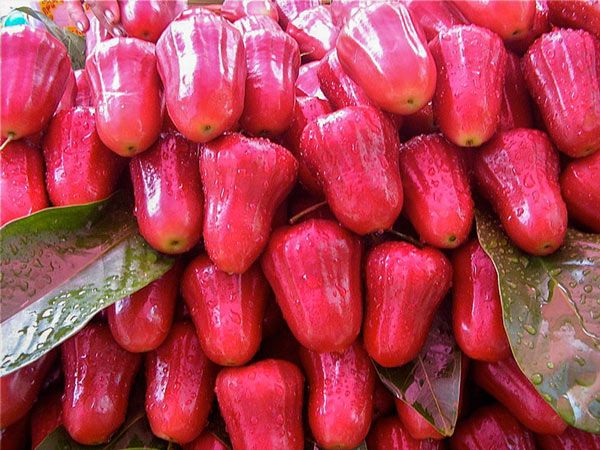 Trái đào có chứa nhiều chất xơ giúp giảm hấp thu lượng cholesterol vào cơ thể