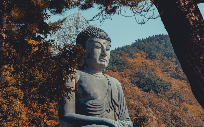 Đức Phật nơi đây gọi cảm thọ dòng chảy vô thường là an trú vô ngã, là an trú Niết Bàn ở đây và bây giờ, tiếng Anh còn gọi là Nibbana here and now