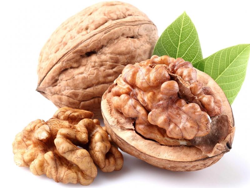 Quả óc chó - Thực phẩm tốt cho người bị bệnh gan