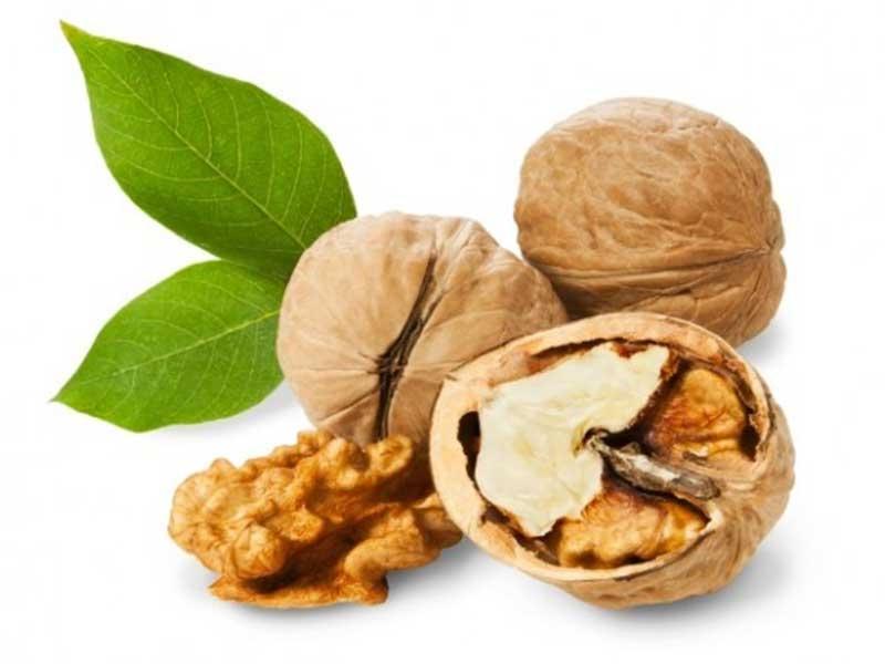 Quả óc chó giúp duy trì các sắc tố của tóc bạn một cách tự nhiên và khiến tóc bạn bóng mượt hơn