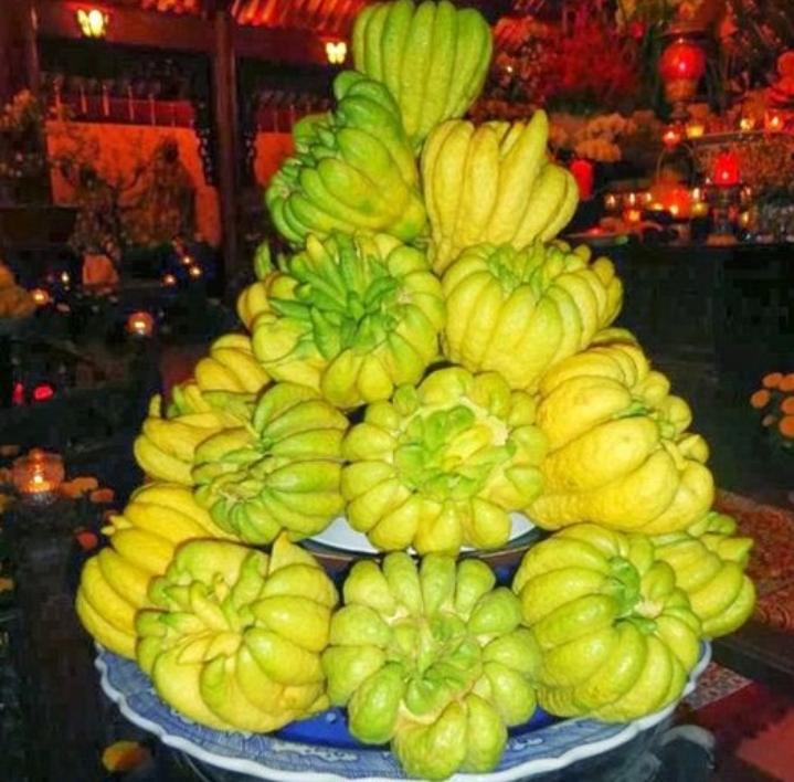 Quả phật thủ