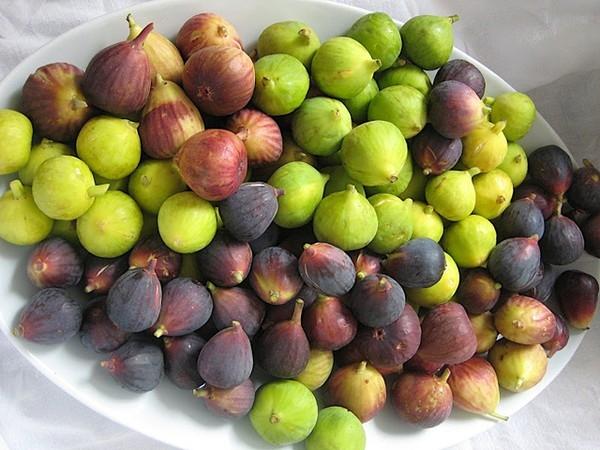 Sung và đào thường không bày bán phổ biến