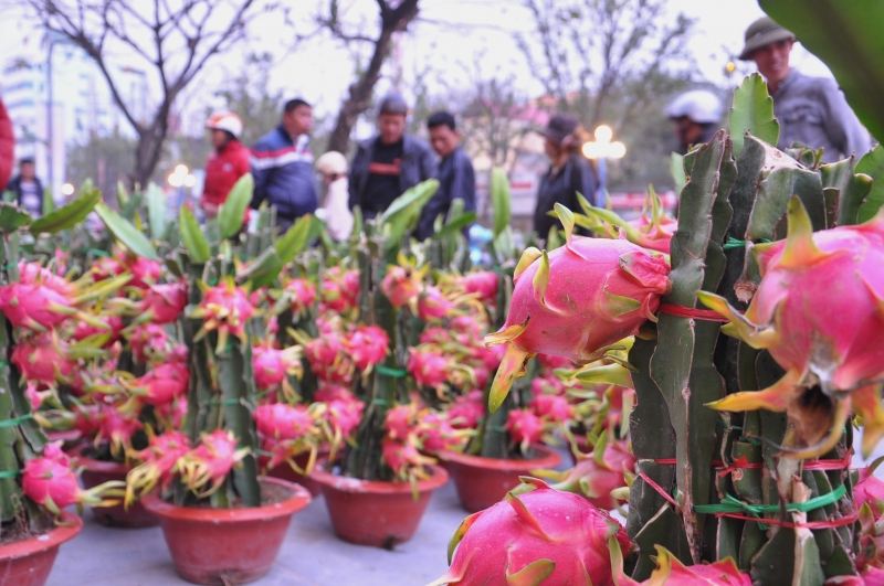 Tượng trưng cho hình ảnh rồng phi lên trời.