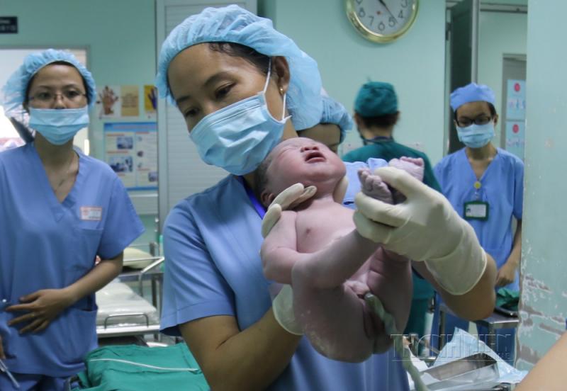 Hình ảnh lấy máu cuống rốn