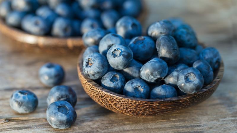 Trái việt quất có chứa anthocyanin, đây chính là sắc tố tạo nên màu xanh đậm cho trái Việt Quất. Loại chất này có tác dụng vô hiệu hóa các gốc tự do dẫn đến bệnh ung thư và các bệnh liên quan đến tuổi