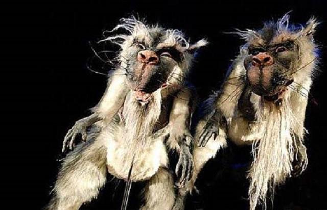 Quái vật Bunyip