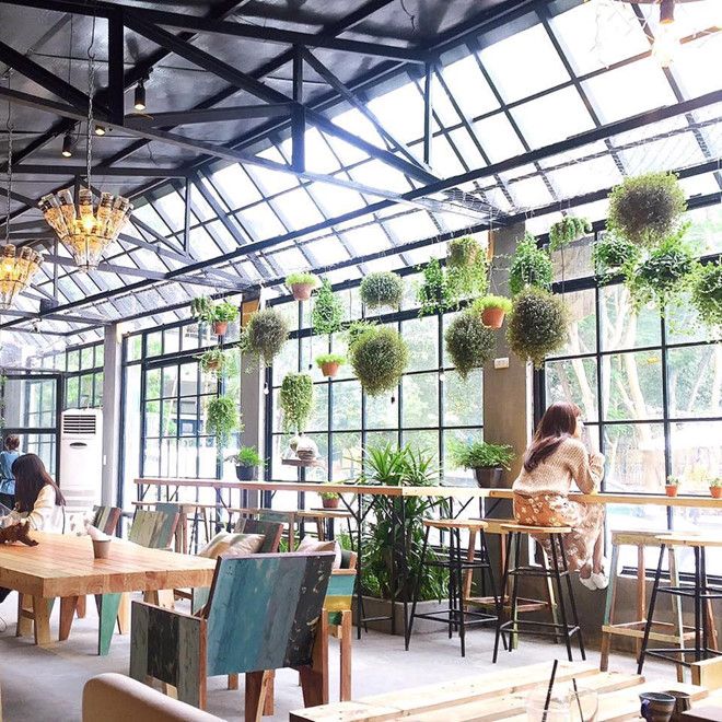 Quán cà phê sẽ là nơi gặp gỡ tuyệt vời cho mối tình đầu của bạn.