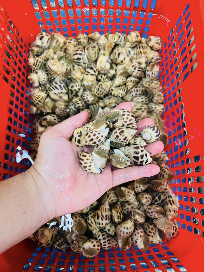 Quán Mạnh Hải Sản