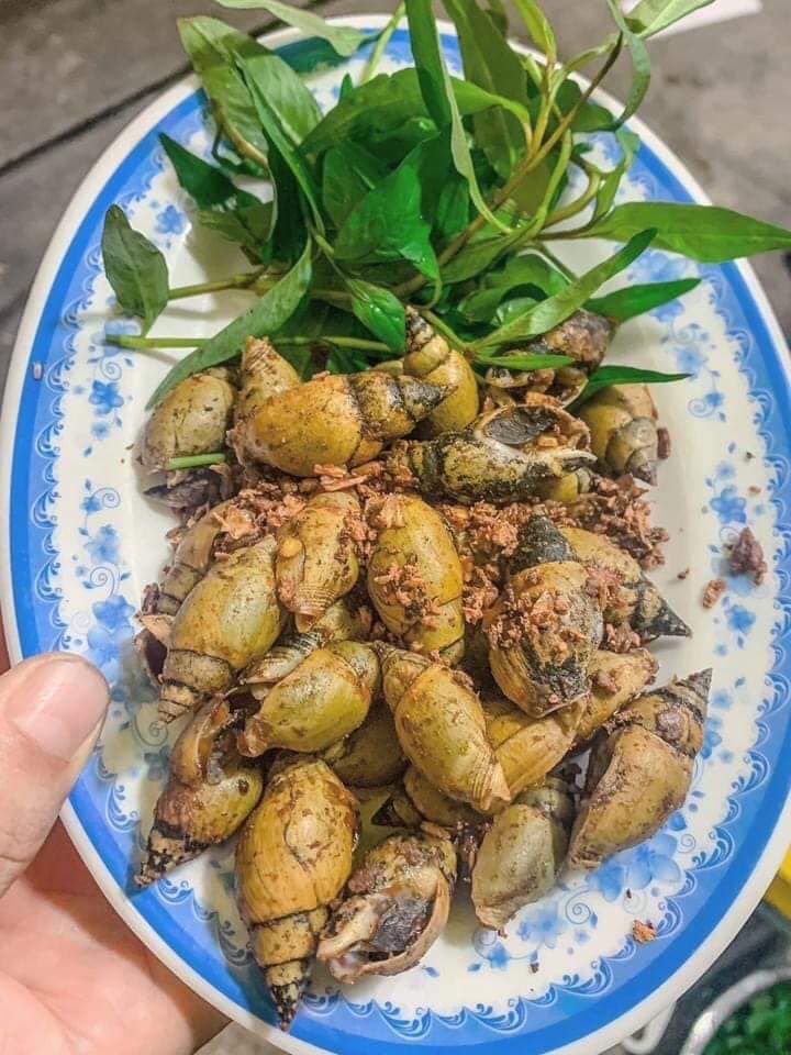 ﻿﻿Quán Ốc Chiều Nay