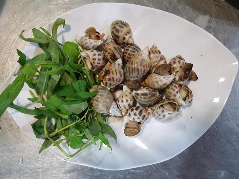 Quán Ốc Trần Đào