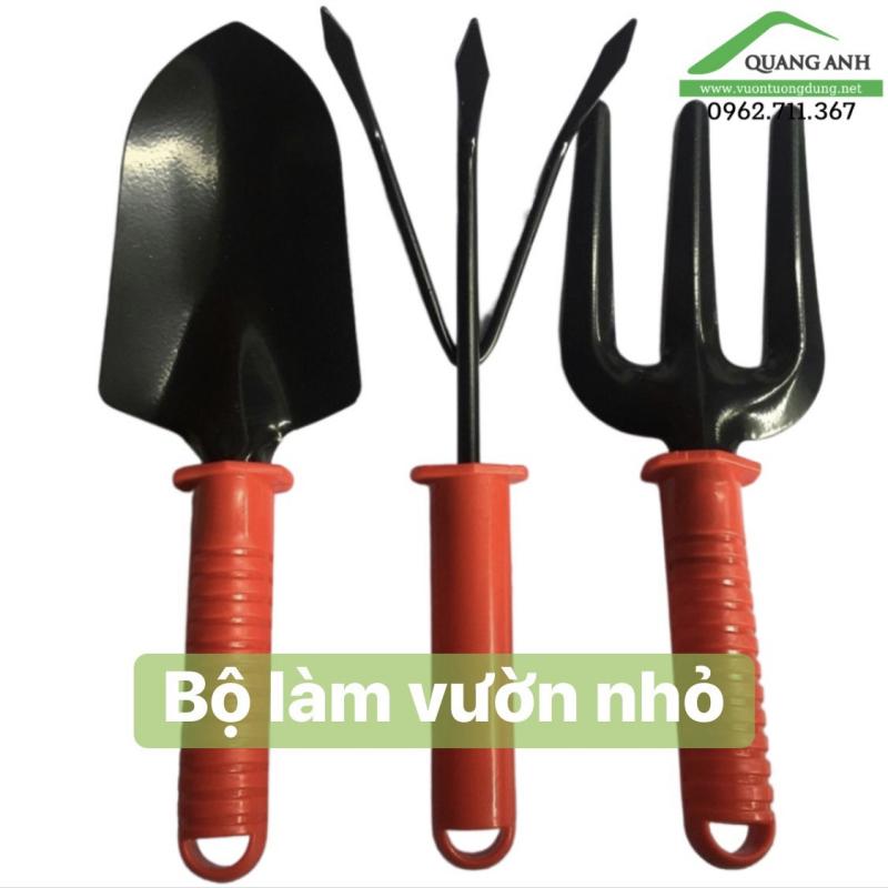 Quang Anh