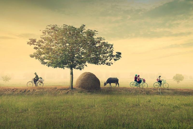 Bắc Bình quê tôi