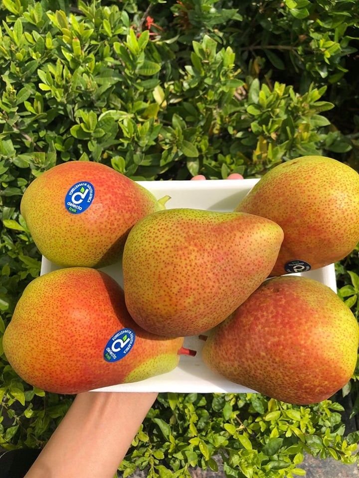 Que Lam Organic