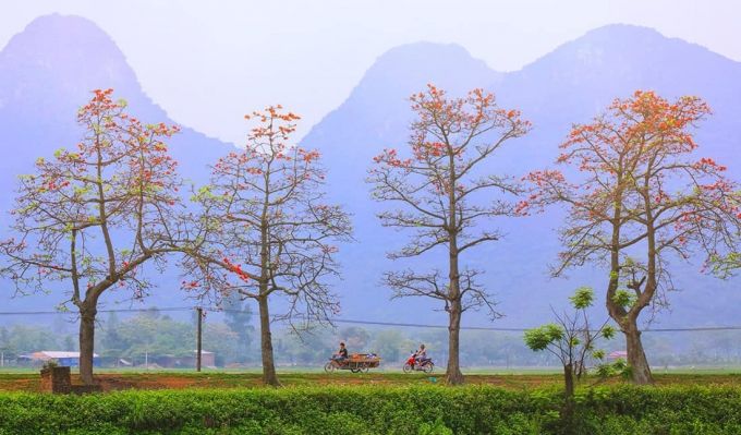 Ảnh minh họa (nguồn internet)