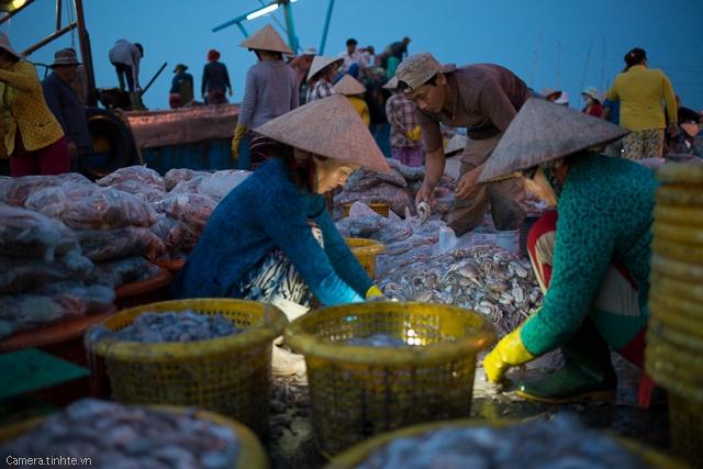 Nguồn nguyên liệu cá sạch