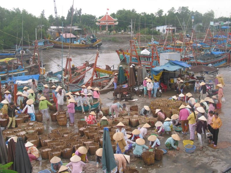 Nguồn nguyên liệu cá sạch