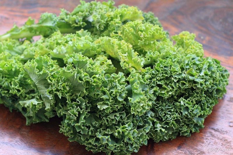 Cải xoăn có chứa chất chống oxy hóa cao giúp trẻ hóa làn da