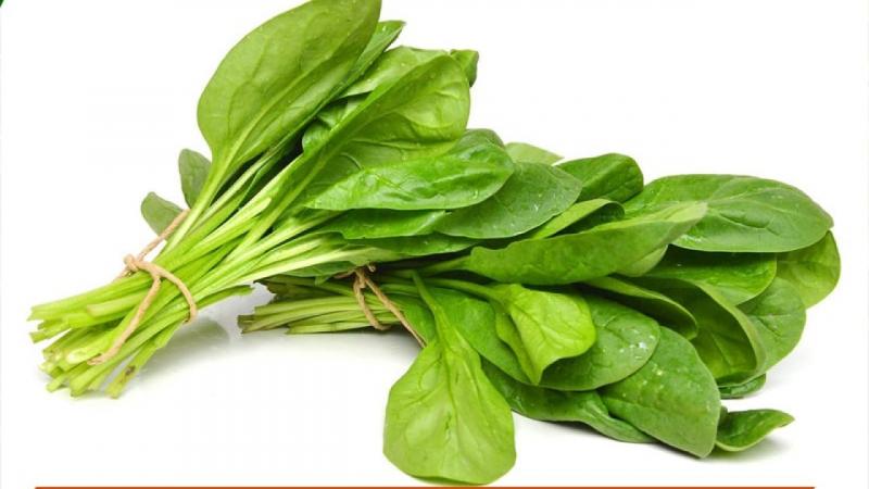 Rau chân vịt