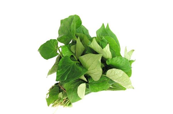Rau diếp cá
