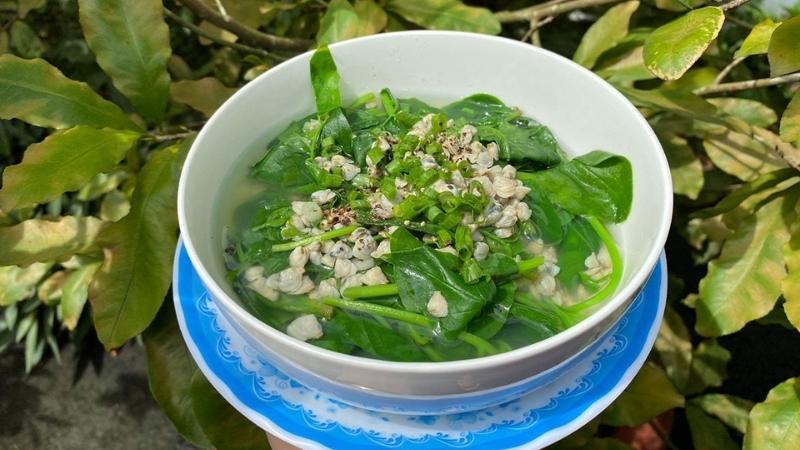Rau mồng tơi chứa axit folic, một chất quan trọng giúp tăng cường sản lượng sữa mẹ