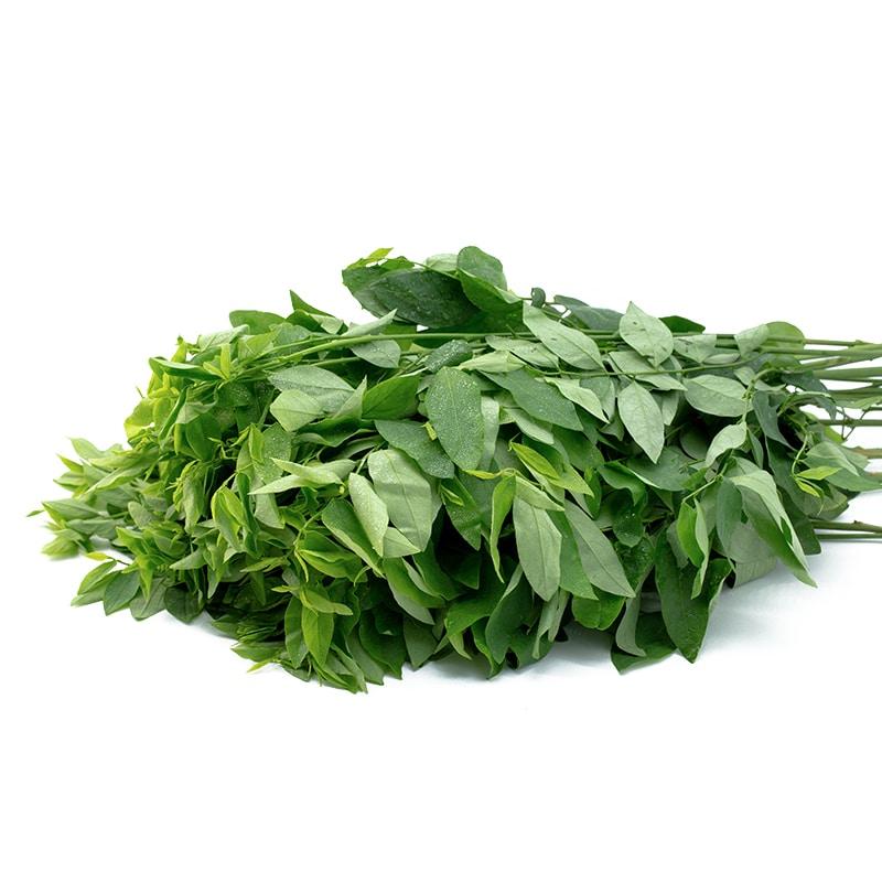Rau ngót có nhiều công dụng cho sức khỏe