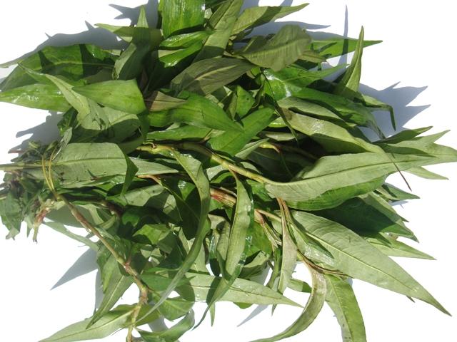 Mẹ bầu không nên ăn nhiều rau răm