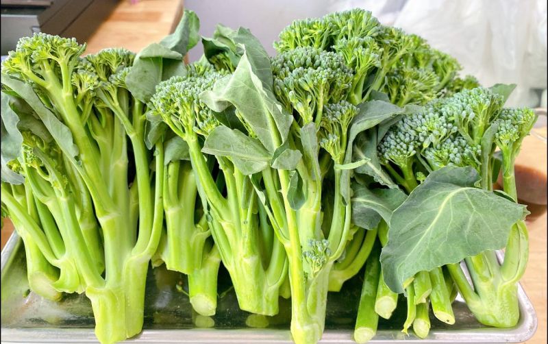 Rau Sạch Việt Tâm - Veganic