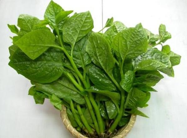 Bổ sung rau xanh sẽ hạn chế táo bón ở trẻ