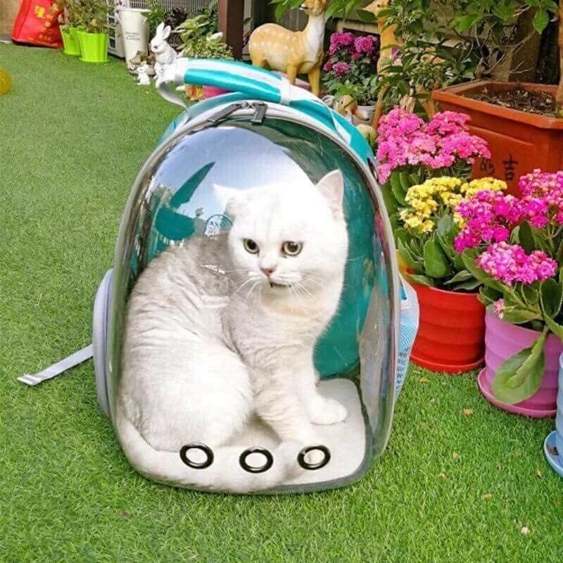 RƠM ƠI PET CARE